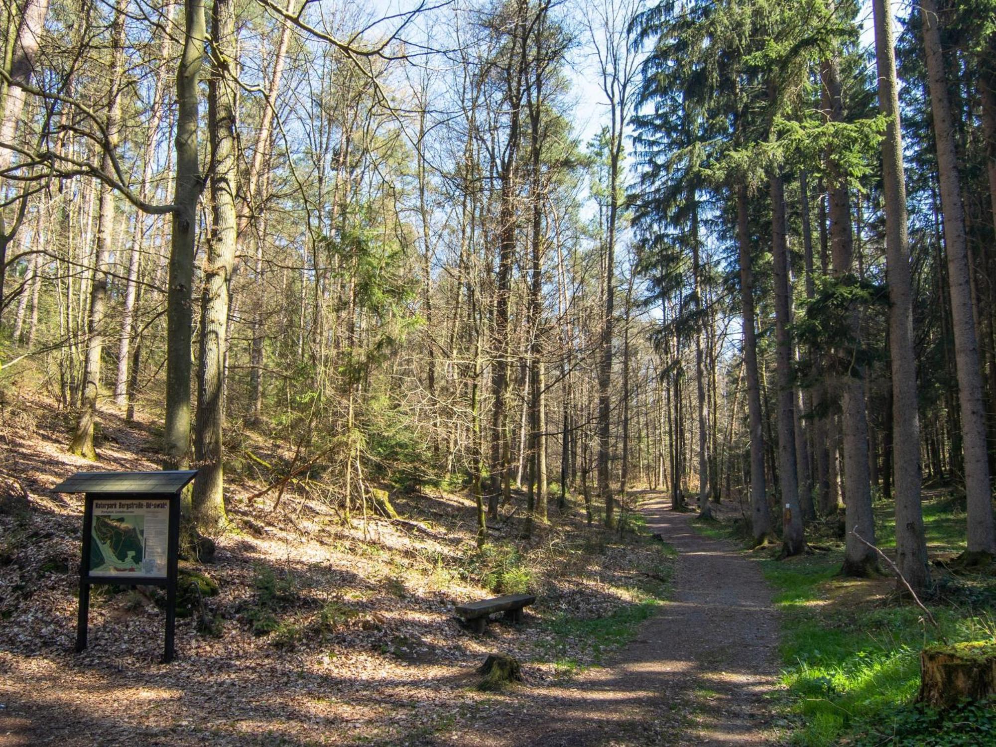 Apartment In The Odenwald With Terrace Mossautal ภายนอก รูปภาพ
